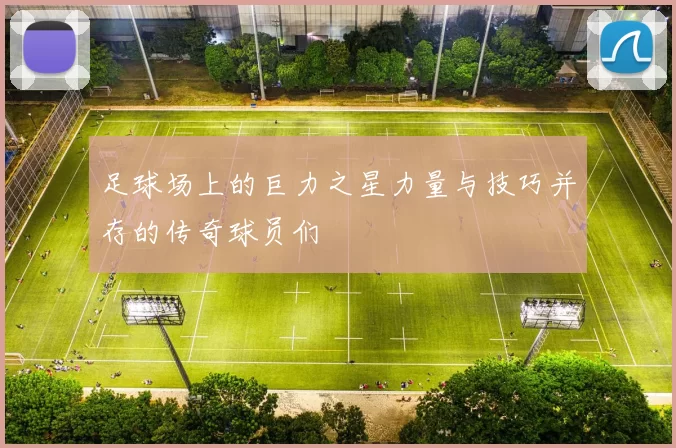 足球场上的巨力之星力量与技巧并存的传奇球员们