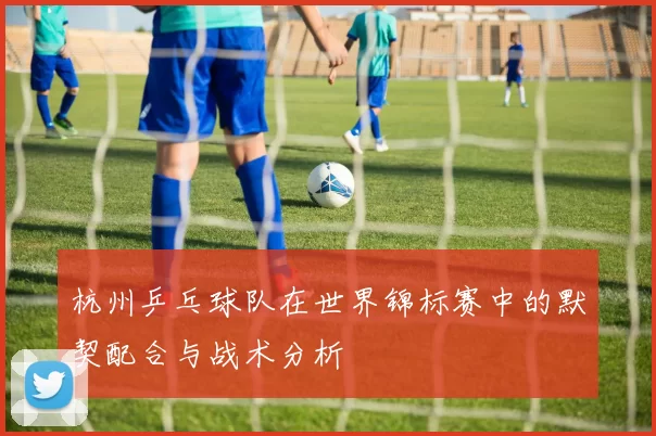 杭州乒乓球队在世界锦标赛中的默契配合与战术分析
