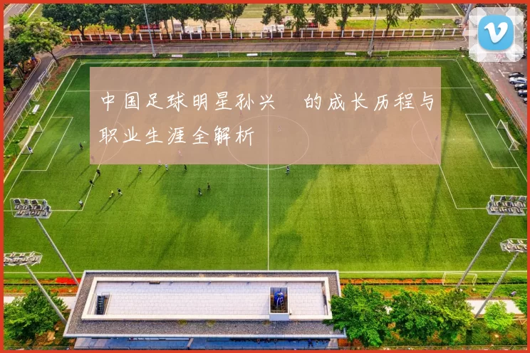 中国足球明星孙兴慜的成长历程与职业生涯全解析