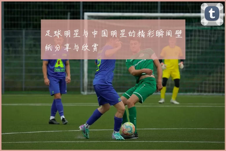 足球明星与中国明星的精彩瞬间壁纸分享与欣赏