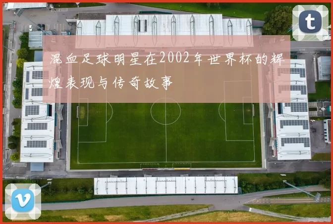 混血足球明星在2002年世界杯的辉煌表现与传奇故事