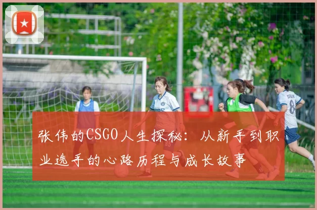 张伟的CSGO人生探秘：从新手到职业选手的心路历程与成长故事