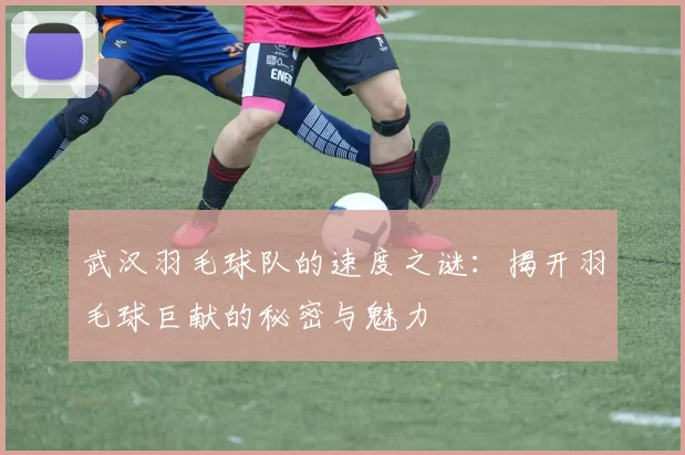 武汉羽毛球队的速度之谜：揭开羽毛球巨献的秘密与魅力