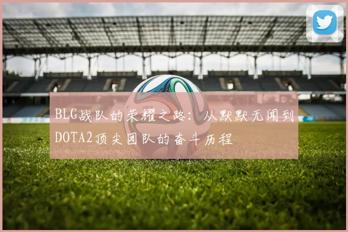 BLG战队的荣耀之路：从默默无闻到DOTA2顶尖团队的奋斗历程