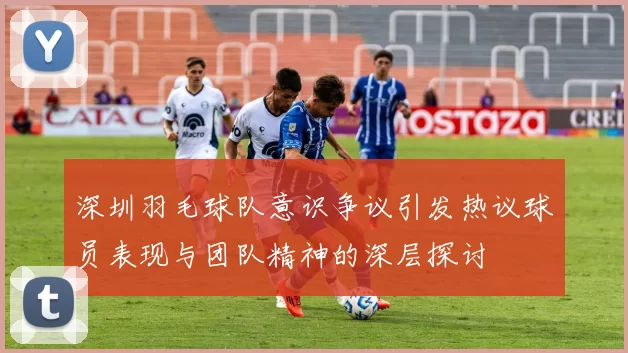 深圳羽毛球队意识争议引发热议球员表现与团队精神的深层探讨