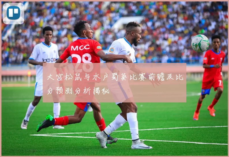 大宫松鼠与水户蜀葵比赛前瞻及比分预测分析揭秘