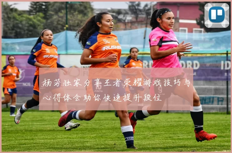 杨芳独家分享王者荣耀游戏技巧与心得体会助你快速提升段位