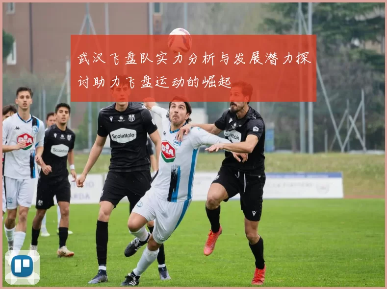 武汉飞盘队实力分析与发展潜力探讨助力飞盘运动的崛起