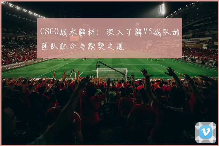 CSGO战术解析：深入了解V5战队的团队配合与默契之道