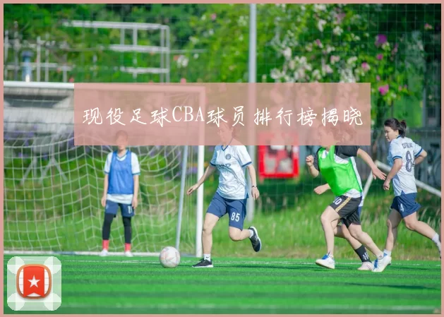 现役足球CBA球员排行榜揭晓