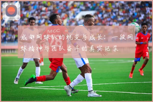 成都网球队的蜕变与成长：一段网球精神与团队奋斗的真实记录