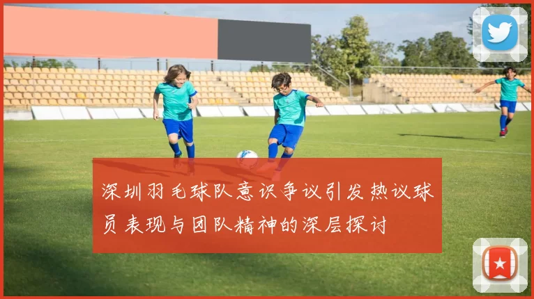 深圳羽毛球队意识争议引发热议球员表现与团队精神的深层探讨