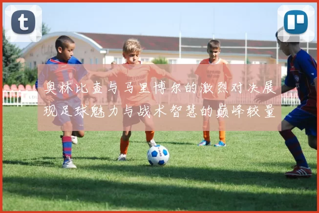 奥林比查与马里博尔的激烈对决展现足球魅力与战术智慧的巅峰较量