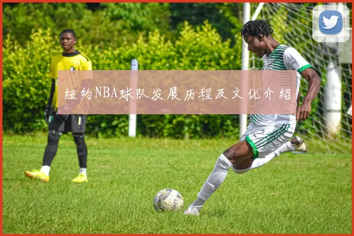 纽约NBA球队发展历程及文化介绍