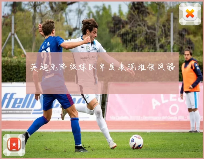 英超免降级球队年度表现谁领风骚